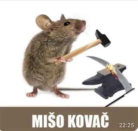 File:Misokovac.webp